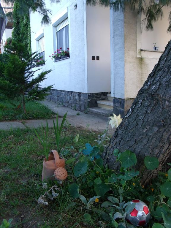Viola Vendeghaz Apartment Kehidakustány Exterior photo
